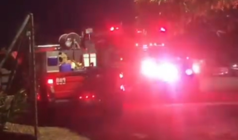 Ataques de abejas africanas generan alarma en comunidades de Colón  