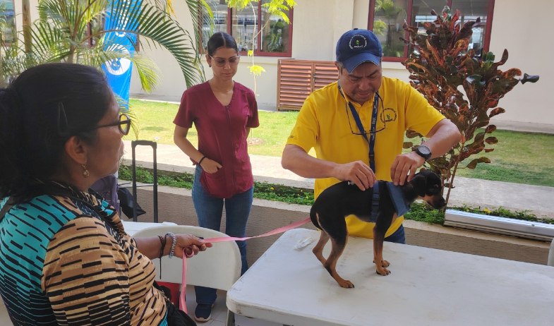 'Misión Patitas' realiza jornada masiva de esterilización en la provincia de Colón 