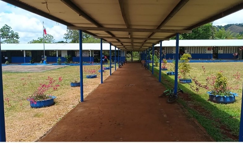 Vandalismo afecta a escuelas en Las Palmas y deja sin servicio áreas clave para estudiantes 
