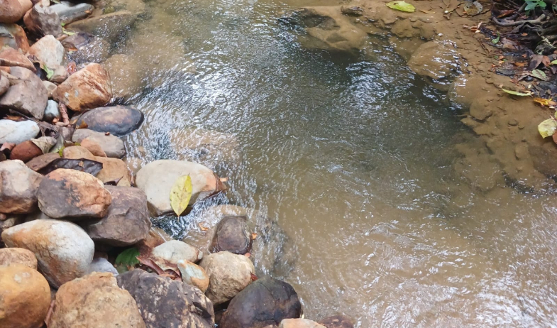 Detectan minería ilegal en quebrada El Naranjo en Capira 