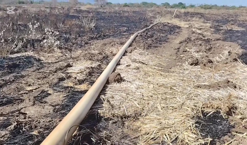 Incendios de masa vegetal provocan pérdidas en cultivos y sistemas de riego en Coclé 