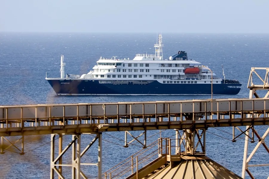 Tres muertes en crucero estarían ligadas a hantavirus con transmisión humana 
