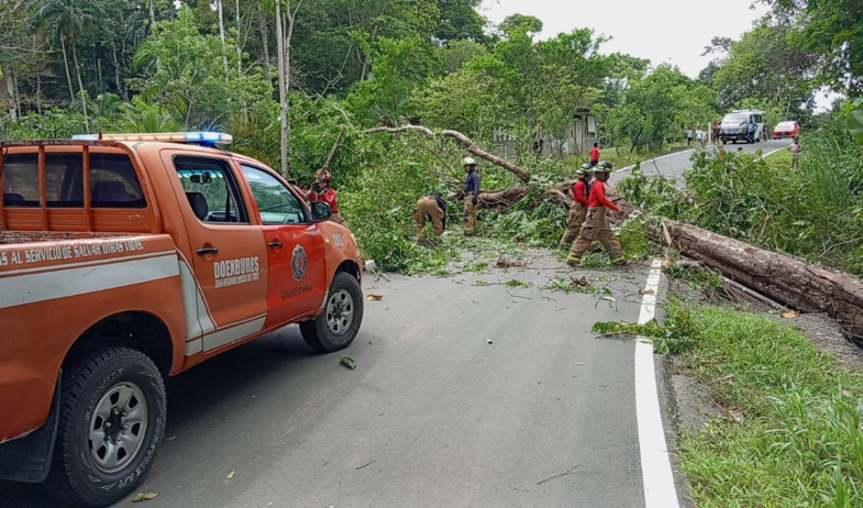Fin de semana movido, bomberos responden a 275 emergencias en Panamá 