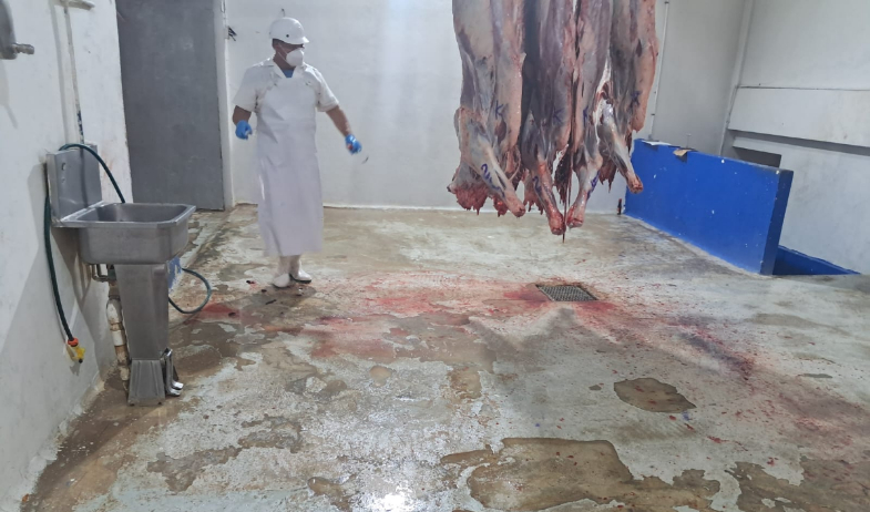 Minsa ordenó el cierre del matadero municipal del distrito de Colón 