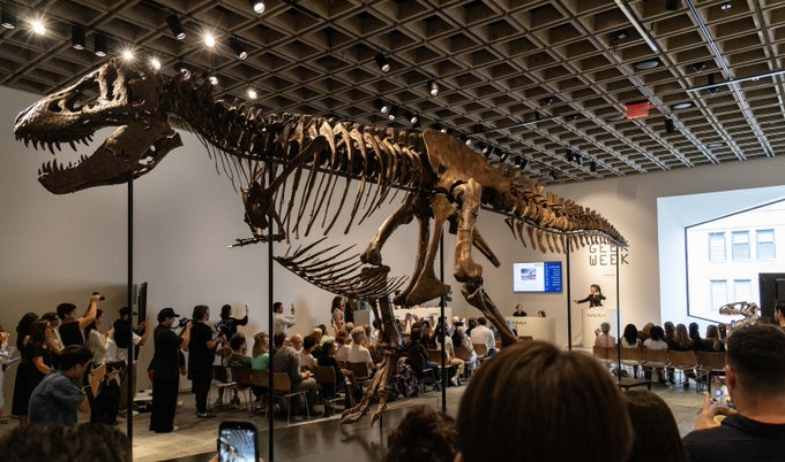 Esqueleto de T. Rex se vende por 50.1 millones de dólares en subasta 