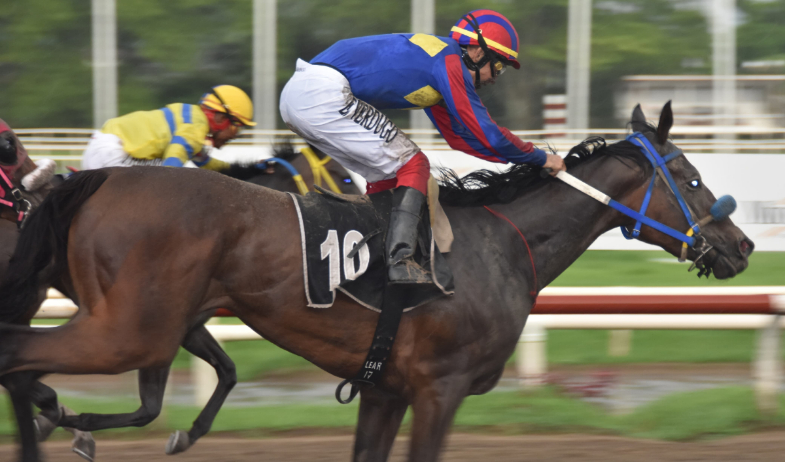 Living Legacy superó a Doña Perfecta por una cabeza 