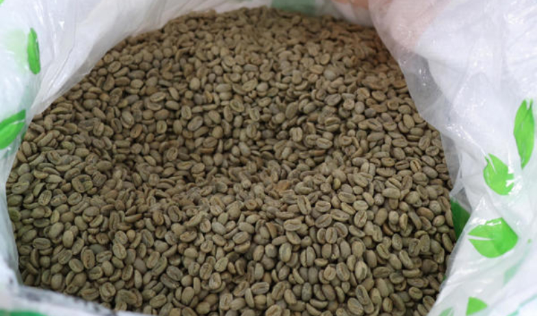 El clima golpea la producción en Panamá del café más caro del mundo, mas no su calidad 