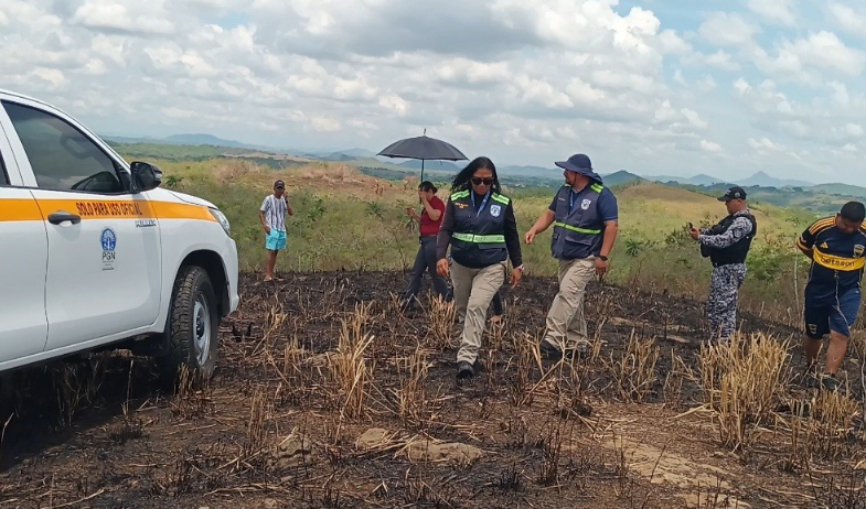 Hurto pecuario sigue golpeando al sector ganadero; Chiriquí concentra más casos 