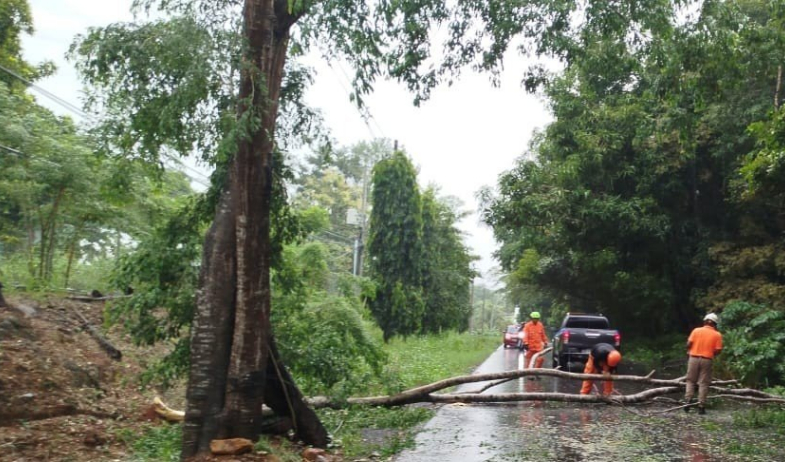 Lluvias y tormentas con vigencia hasta el 19 de agosto de 2026 