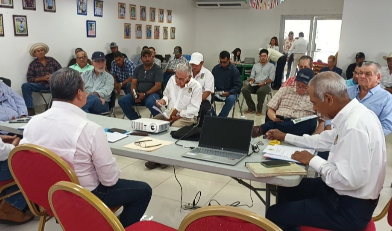 Ganaderos de Veraguas alertan por importaciones lácteas y hurto de ganado 