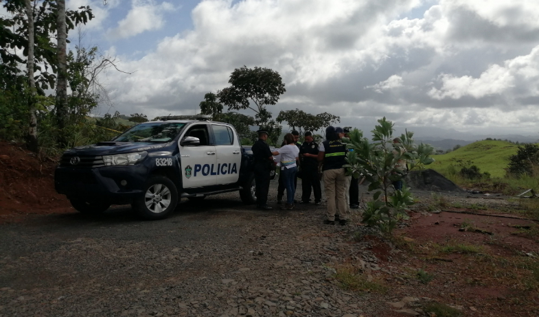 Cuatreros golpean a ganaderos de Panamá Oeste mientras pérdidas por hurto pecuario siguen aumentando 