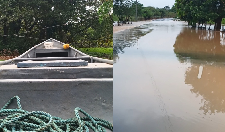 Aprehenden a sospechoso con dos motores fuera de borda presuntamente hurtados en Palo Seco 
