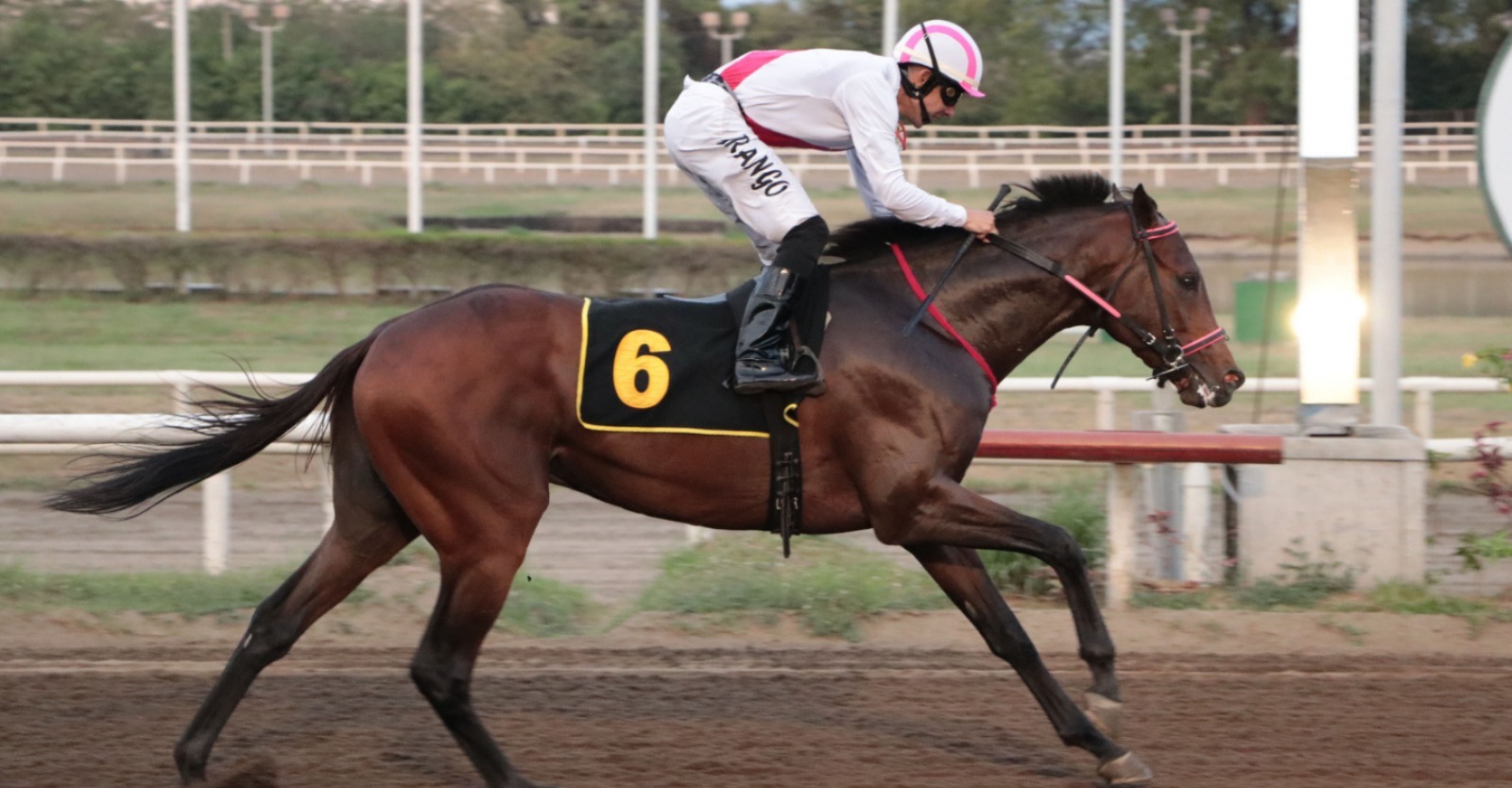 Andros, representante del Stud Dani Sam tendrá la conducción de Luis Arango. Foto Omar Yerar Batista