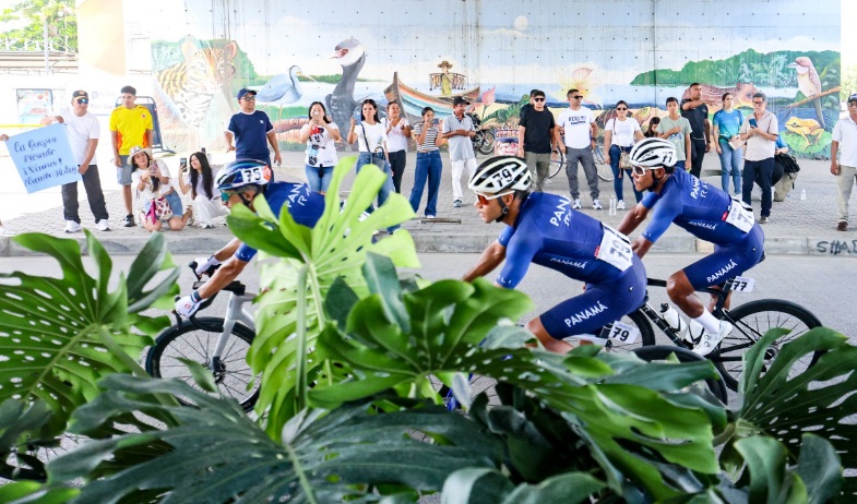 ciclo