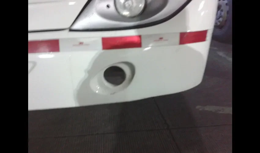Hurto de las alógenas. 