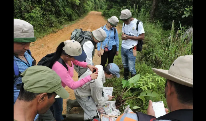 Más personal mejor cuidado.