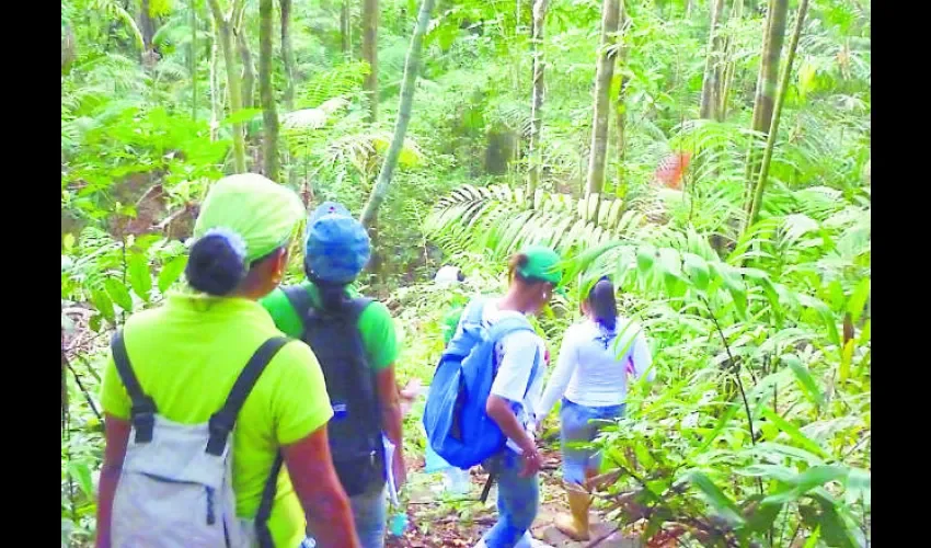 Biólogos estudian las plantas