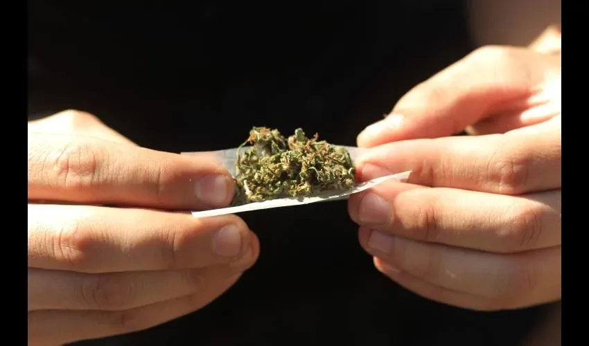 Cannabis