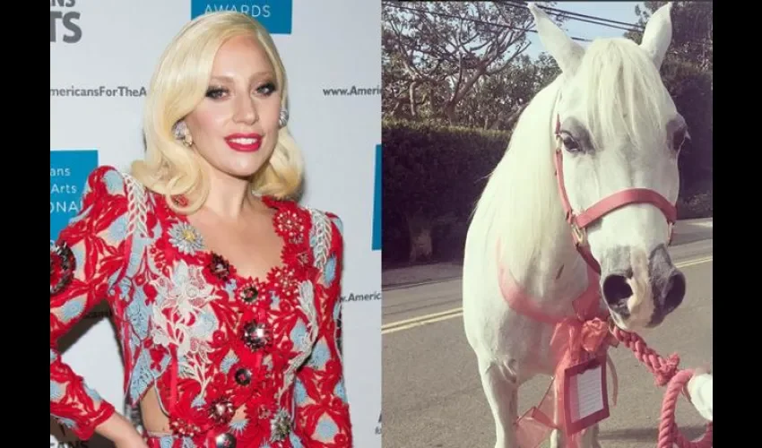 Lady Gaga  