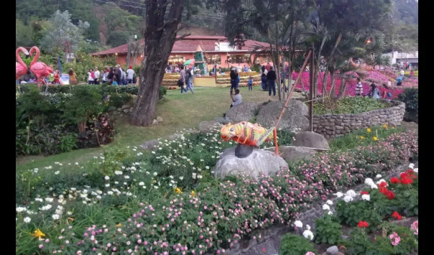 Feria de Las Flores y El Café en Boquete