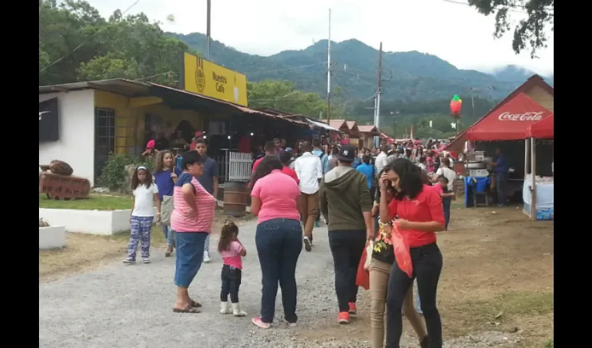  Feria de Las Flores y El Café