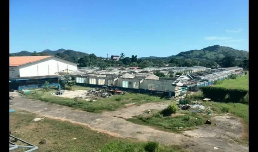  escuela Miguel Alba