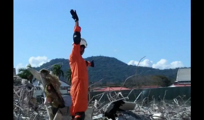 Sinaproc entrena perros