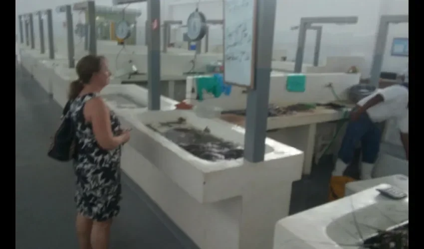 Mercado del Marisco de Río Hato