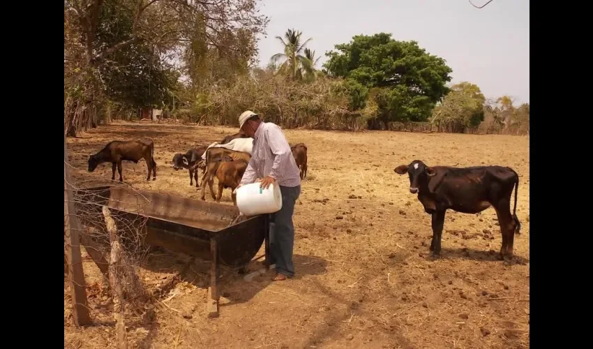 Sequía en Los Santos. 