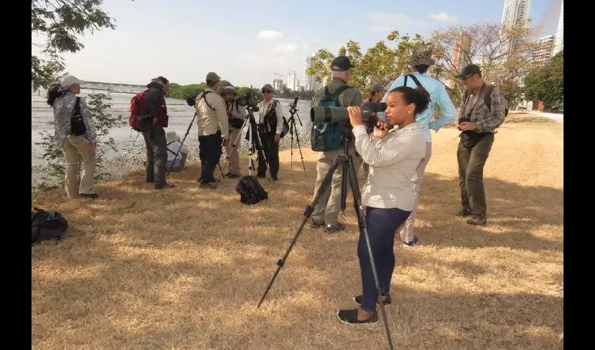 Intercambiarán  experiencias de investigación y criterios metodológicos. 