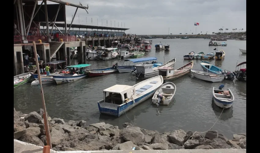 Muchas embarcaciones no están saliendo a pescar.