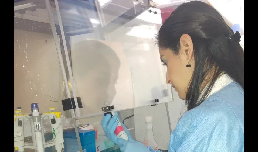 Los casos  por comprobar son muchos, el área a simple vista se ha quedado chica.   YANELISDOMÏNGUEZ