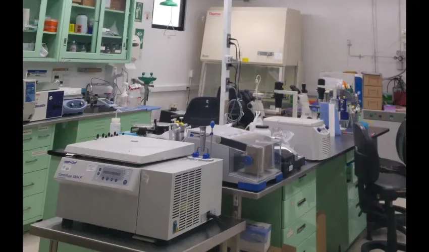 Hay mucha seguridad, no todos pueden entrar.