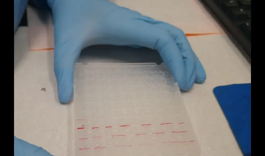 Procesos de muestras.