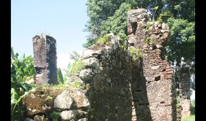 Están llenas de limo y monte.