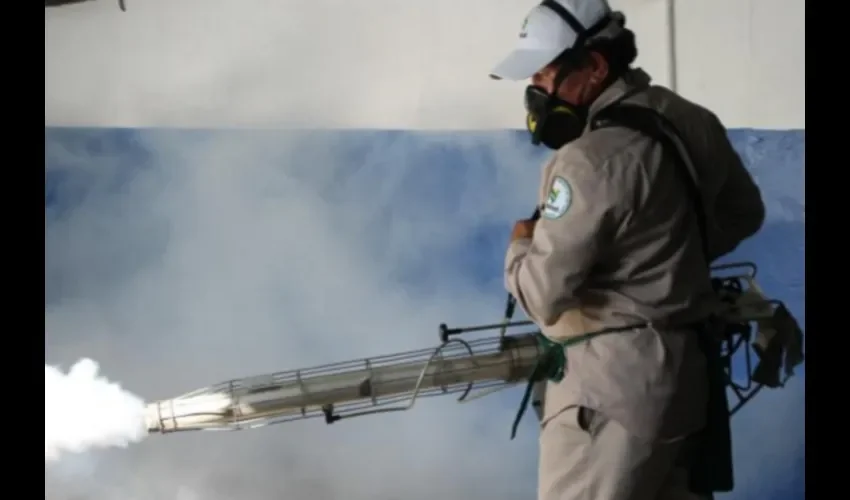 Las fumigaciones no se detienen. 