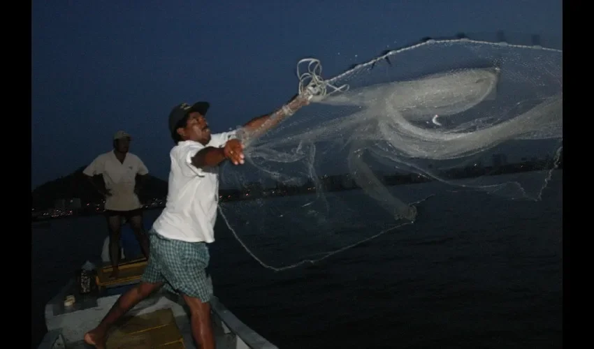 Las personas Pueden denunciar al 311 si ven manejo ilegal en tiempo de veda. 