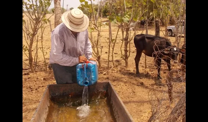 Productores de la provincia de Los Santos