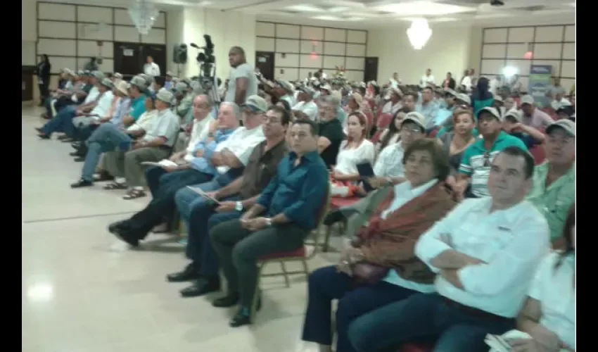 Ganaderos de panamá