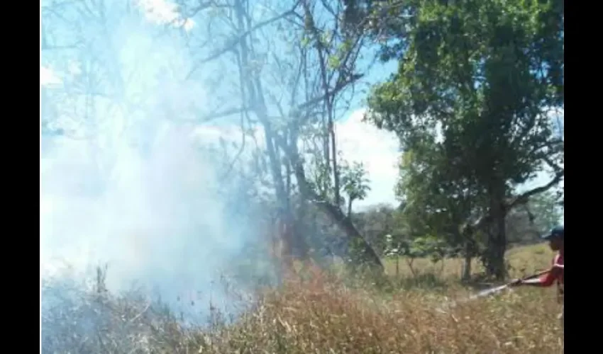 Incendios en David Chiriquí. 