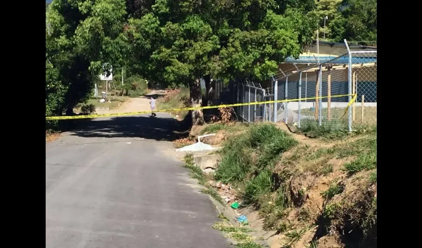 Palmira Abajo de boquete 