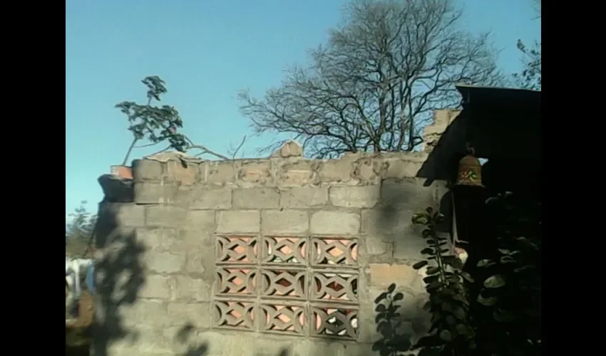 Caída de árboles y voladuras de techos en Chiriquí 