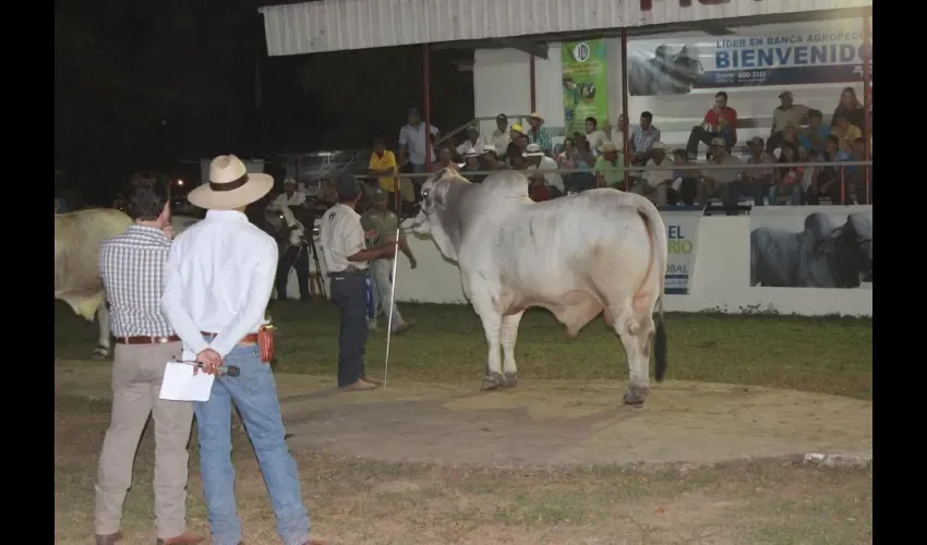 Feria de Veraguas con sede en Soná