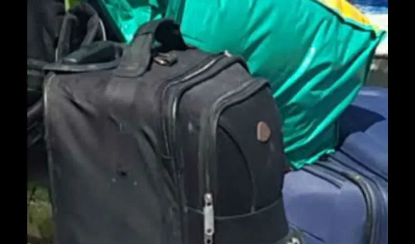 Le roban a maestro en Bocas del Toro