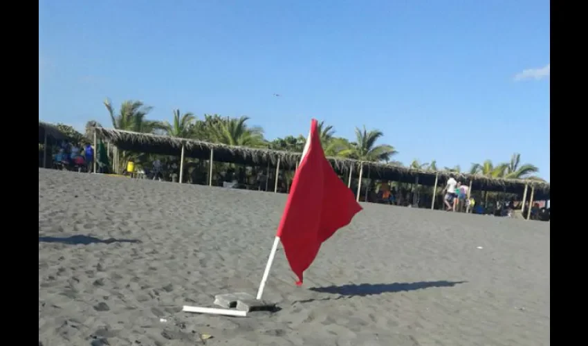 Sinaproc banderas rojas 