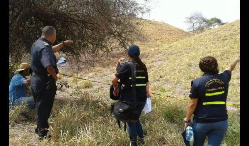  El Naranjito en la Espigadilla, provincia  de Los Santos