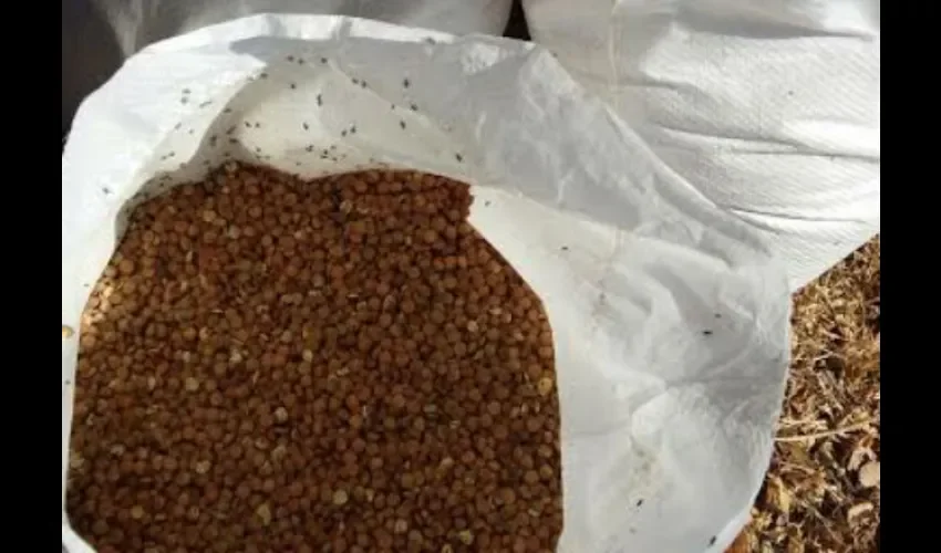  Escuela Las Barreras en Veraguas 