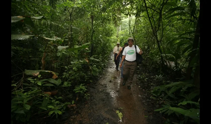 Las  áreas naturales protegidas aportan con el turismo al Producto Interno Bruto del país.  