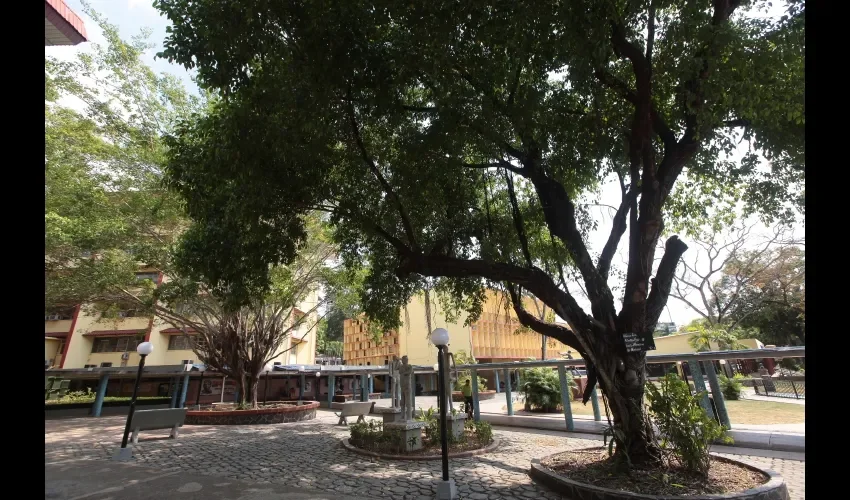  Hay aves y animales silvestres  que se pueden apreciar en el camino. FOTOS: ROBERTO BARRIOS