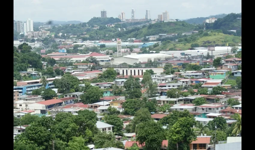 Recordemos que el mosquito aedes aegypti es el transmisor del dengue, chikungunya y zika. ARCHIVO